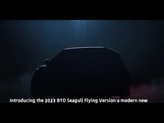 移動 右方向駆動 自動車 BYD デルフィン ハッチバック